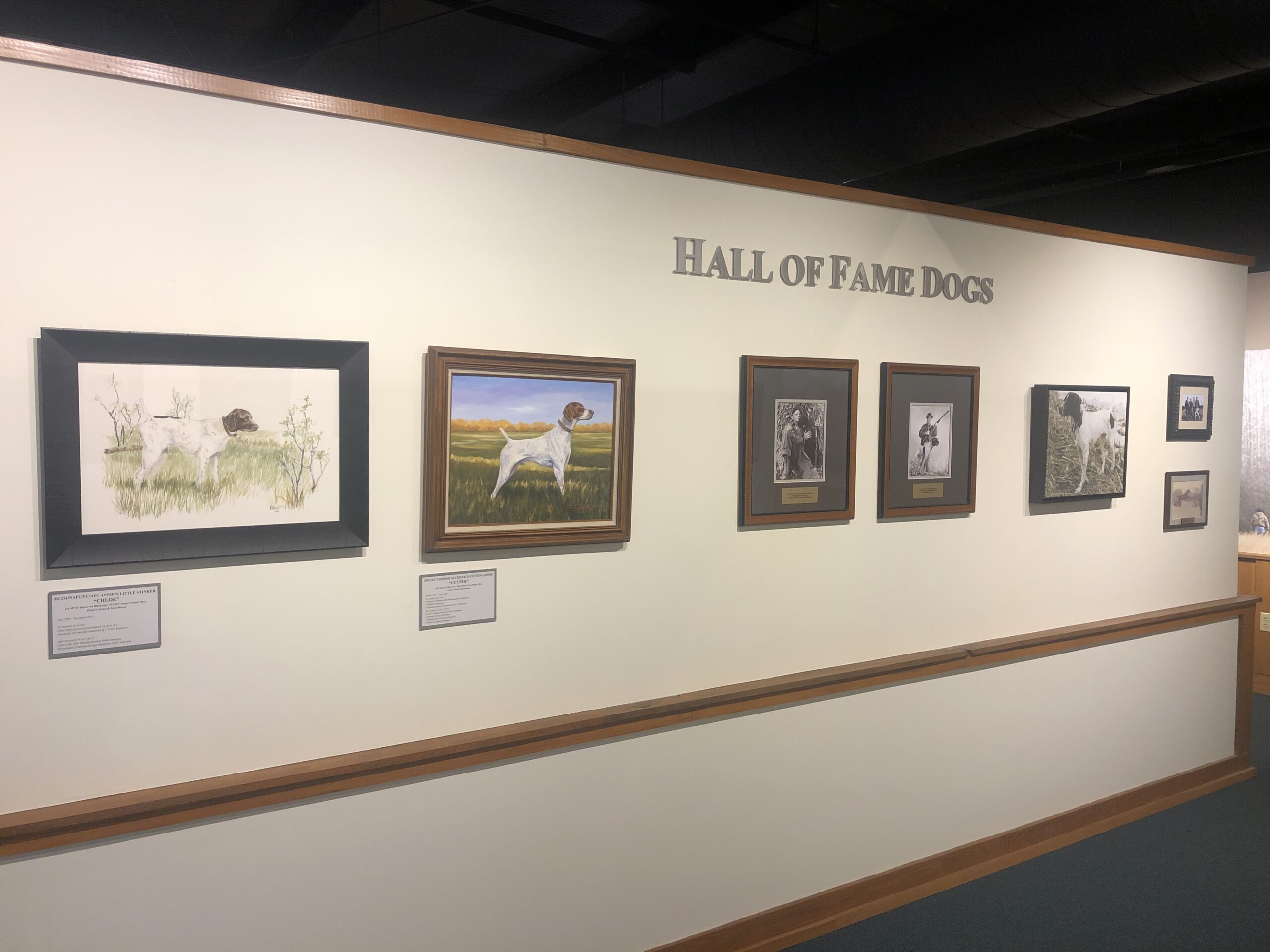 National Bird Dog Museum & Field Trial Hall of Fame