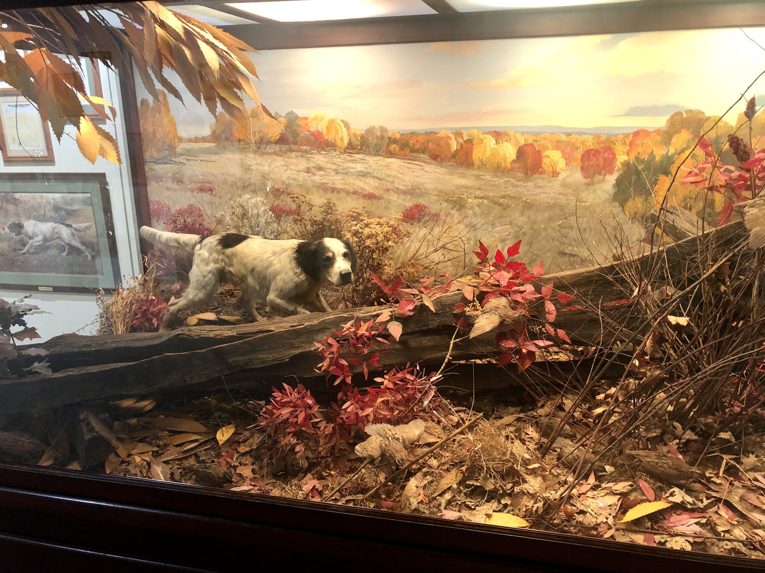 National Bird Dog Museum & Field Trial Hall of Fame