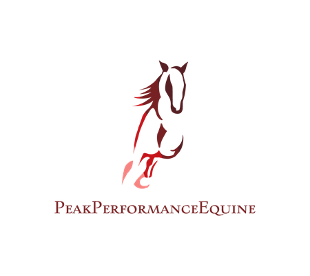 Peak Performance Equine PLLC
